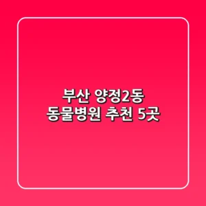 부산 양정2동 동물병원 추천 5곳