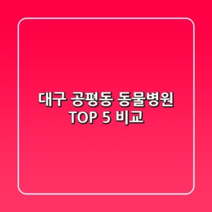대구 공평동 동물병원 TOP 5 비교