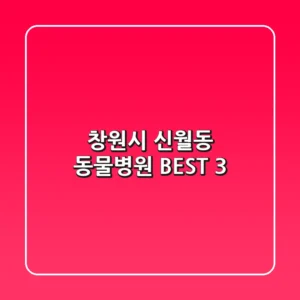 창원시 신월동 동물병원 BEST 3
