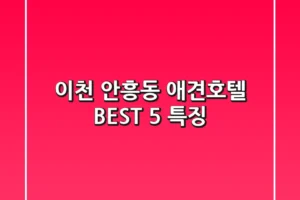 이천 안흥동 애견호텔 BEST 5 특징