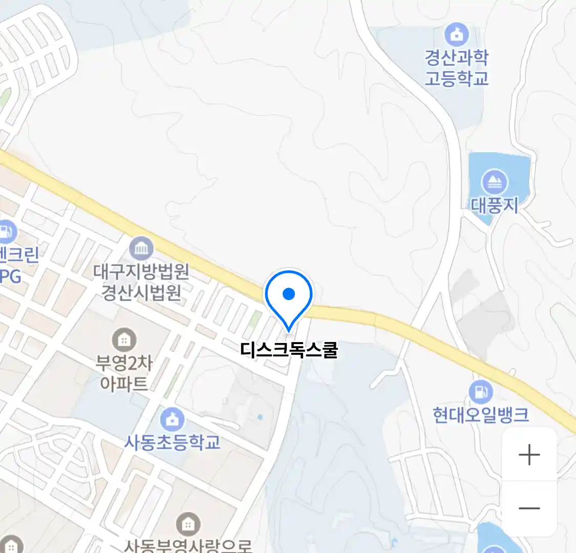 디스크독스쿨