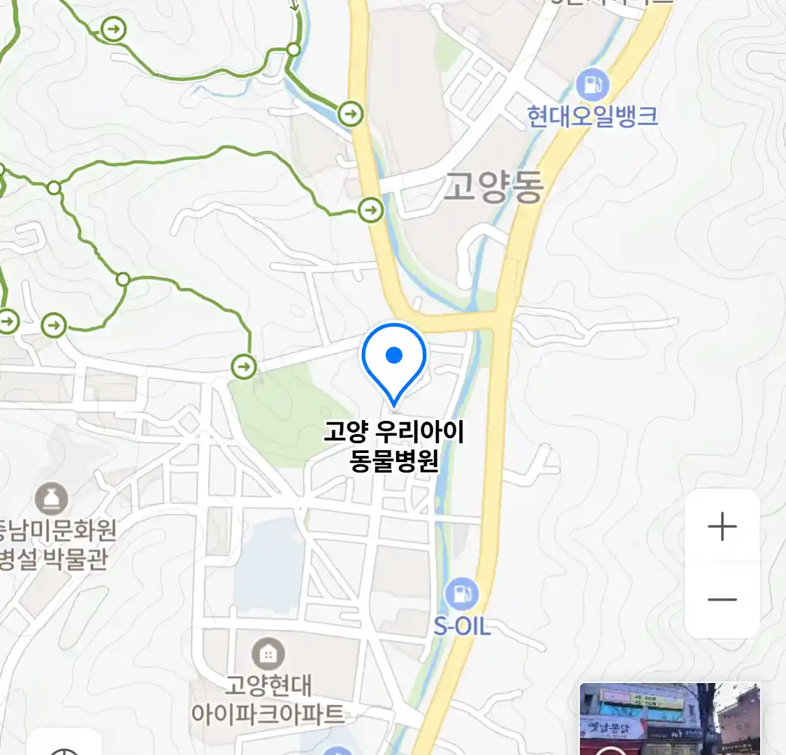 고양 우리아이 동물병원