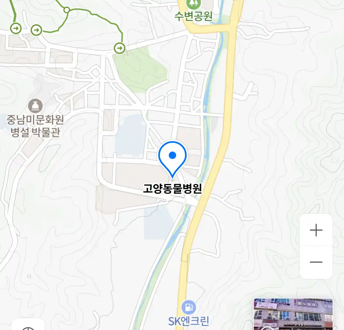 고양동물병원
