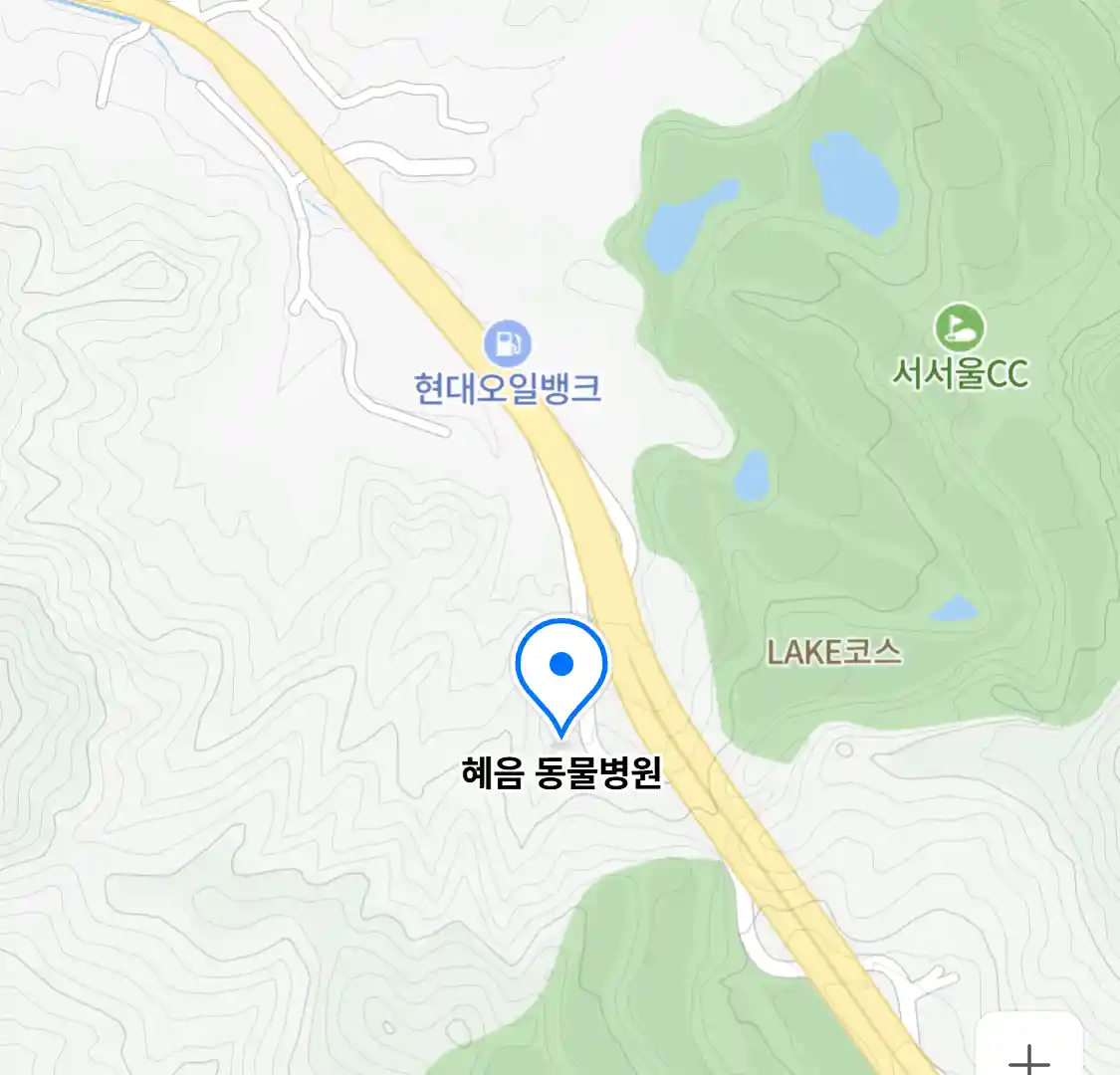 혜음 동물병원