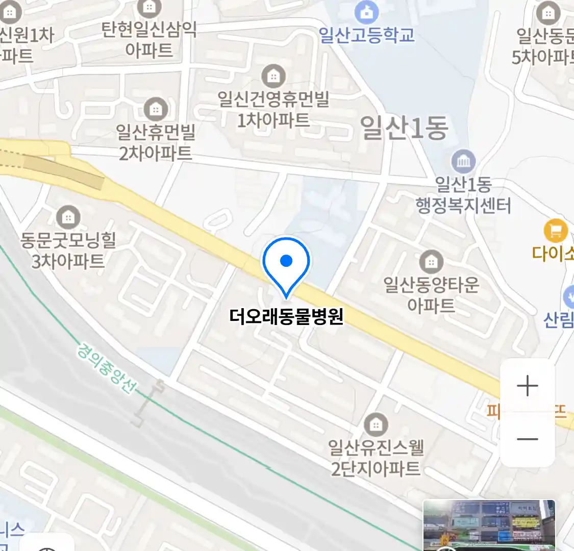 더오래동물병원