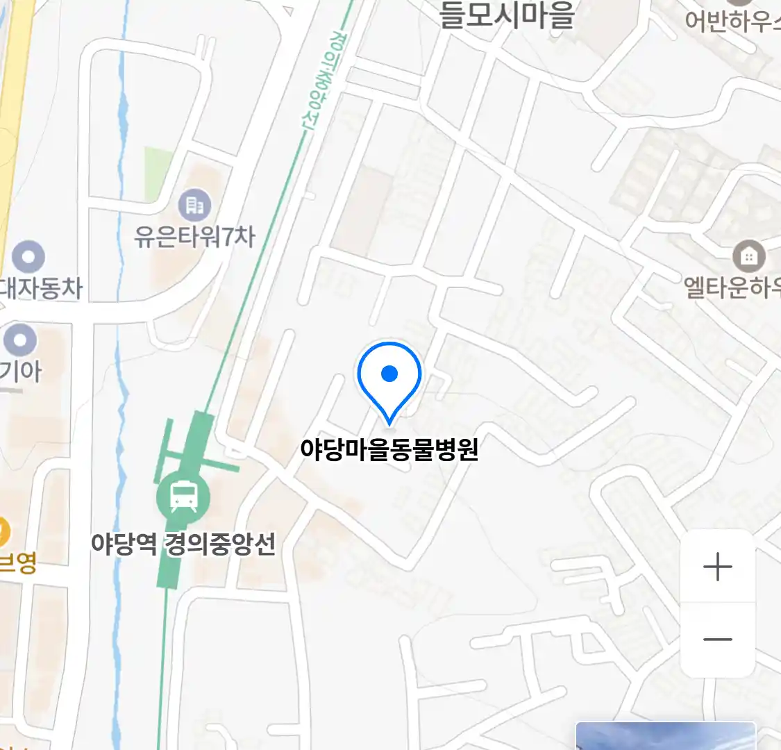 야당마을동물병원