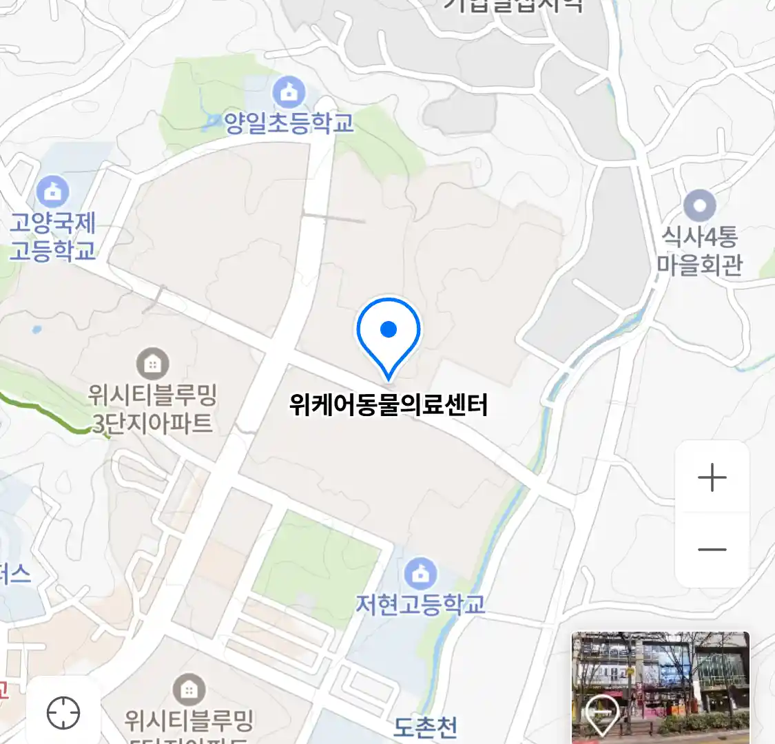 위케어동물의료센터