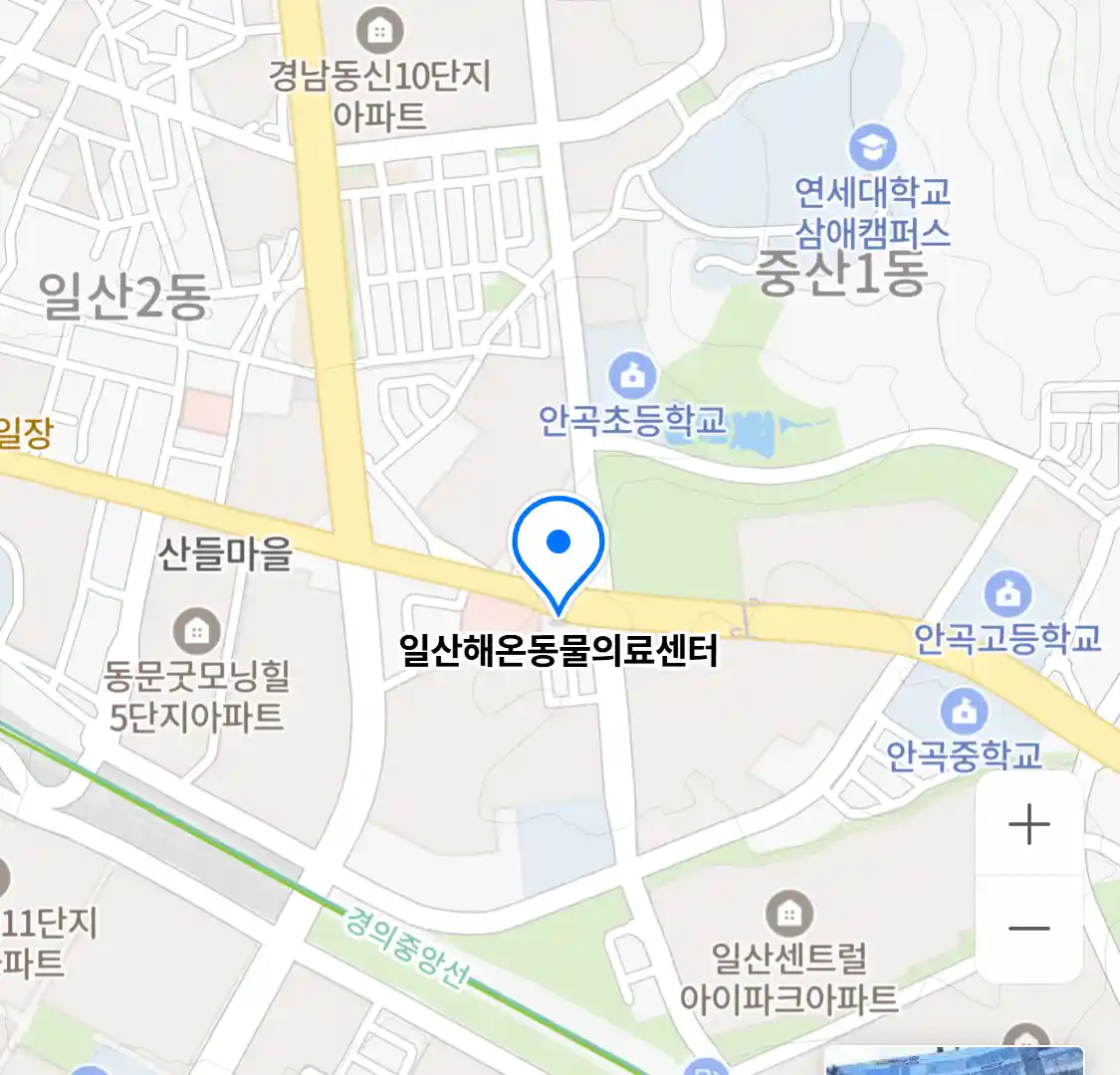 일산해온동물의료센터