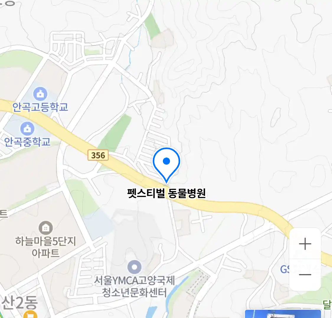 펫스티벌 동물병원