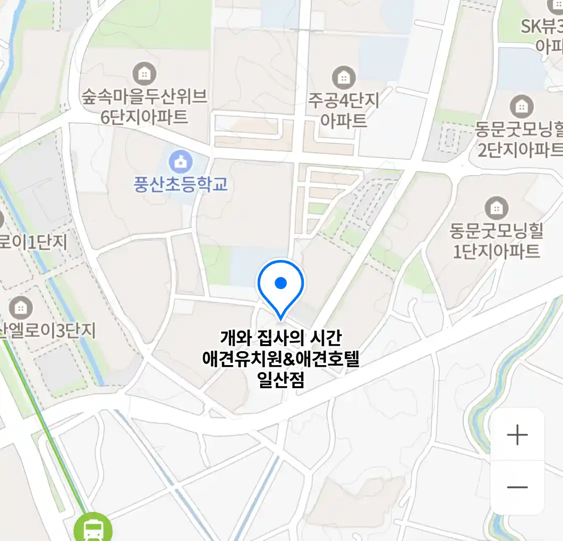 개와 집사의 시간 애견유치원&애견호텔 일산점