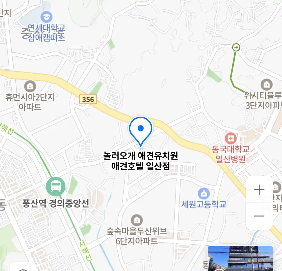 놀러오개 애견유치원 애견호텔 일산점