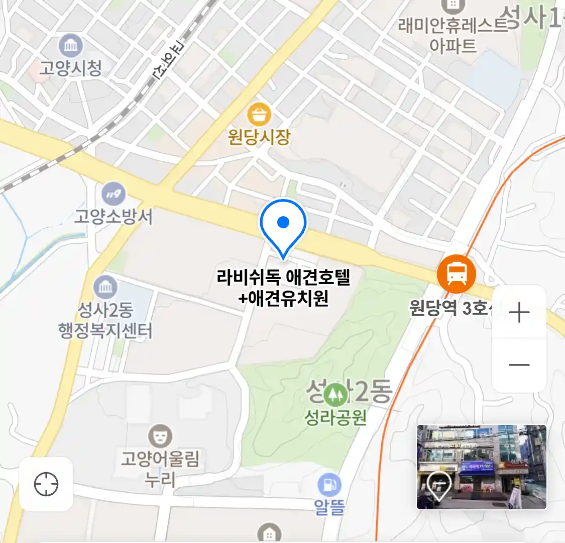 라비쉬독 애견호텔+애견유치원