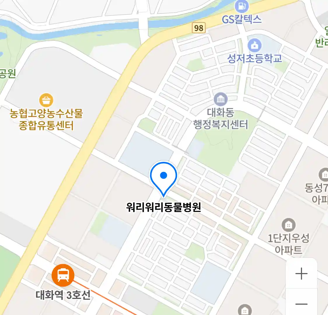 워리워리동물병원