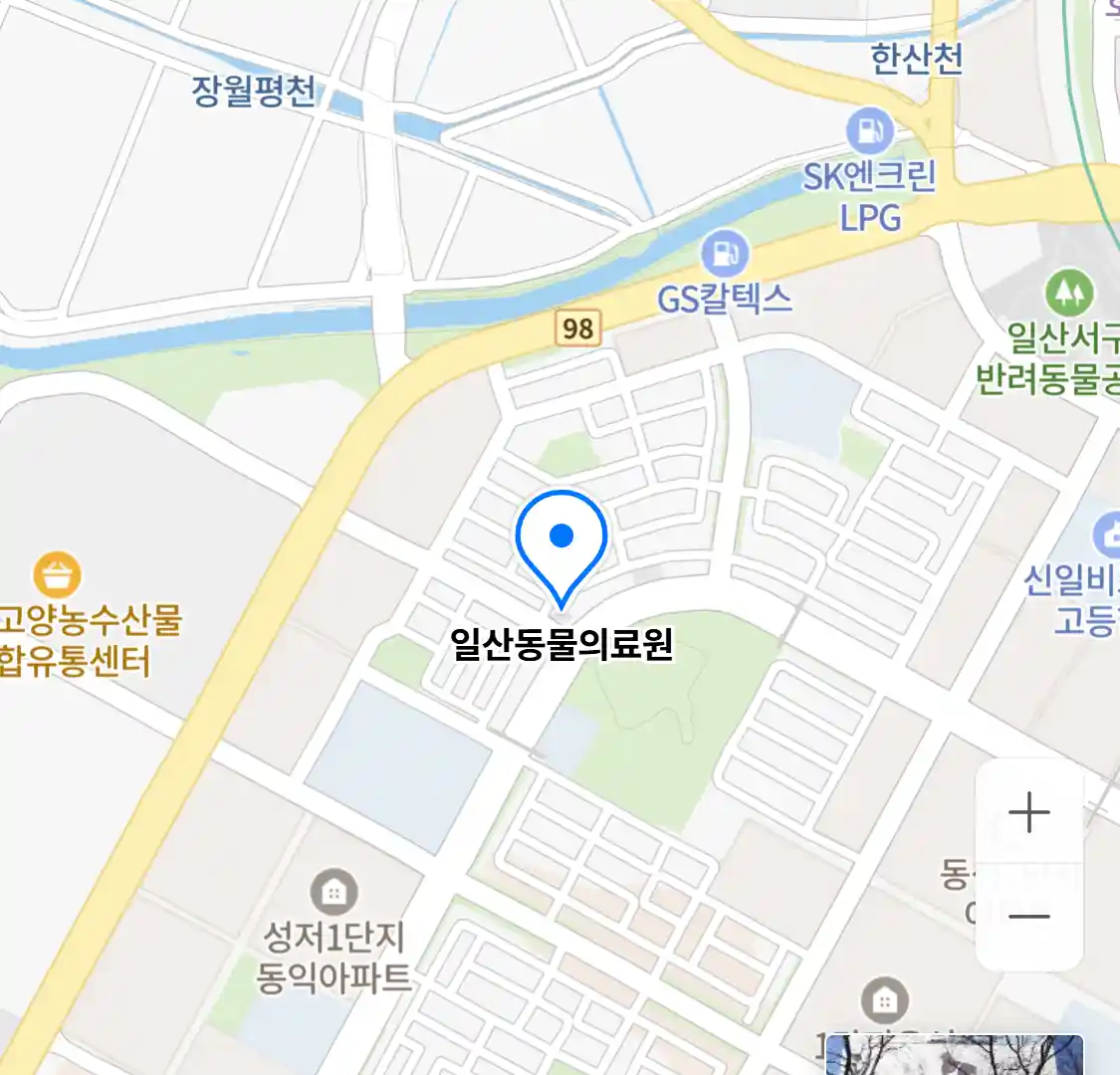 일산동물의료원