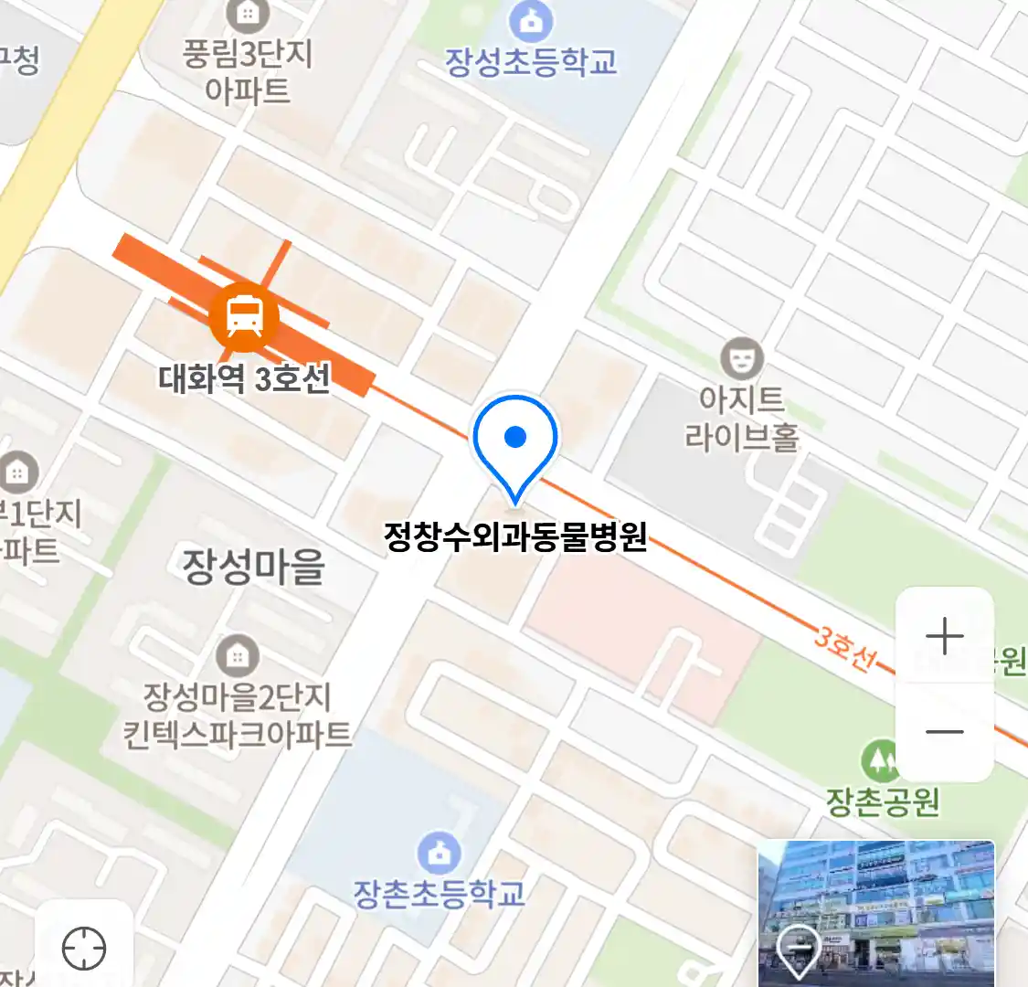 정창수외과동물병원