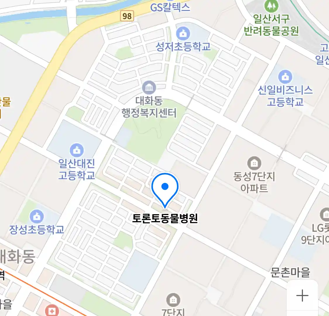 토론토동물병원