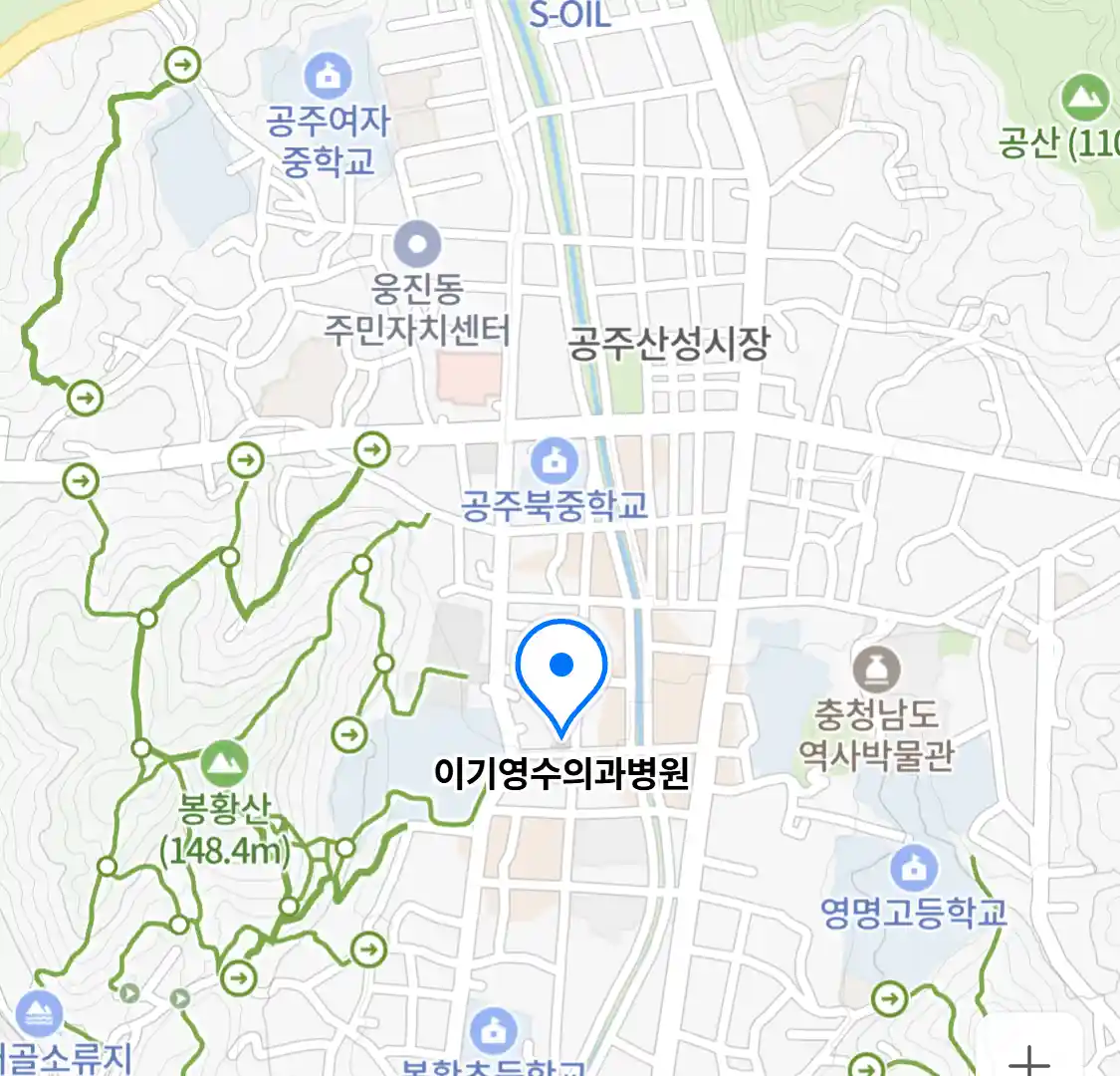 이기영수의과병원