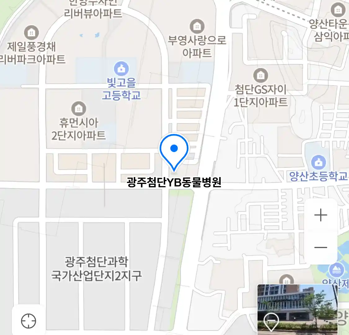 광주첨단YB동물병원