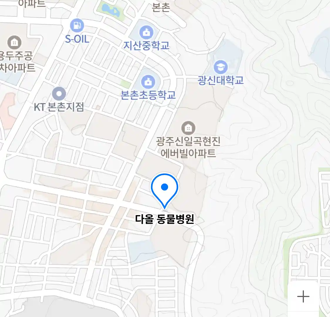 다올 동물병원