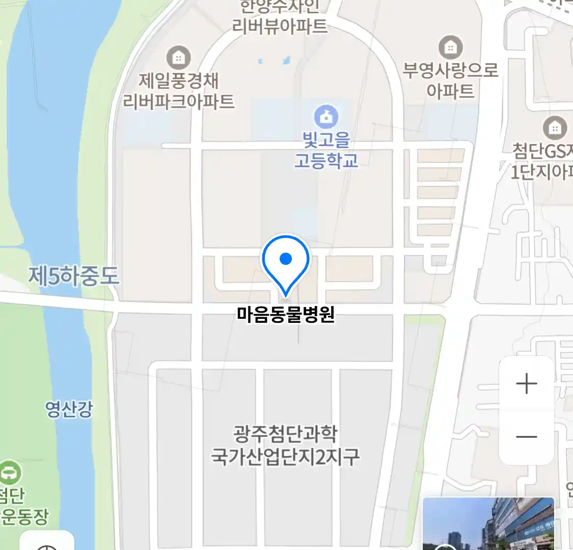 마음동물병원