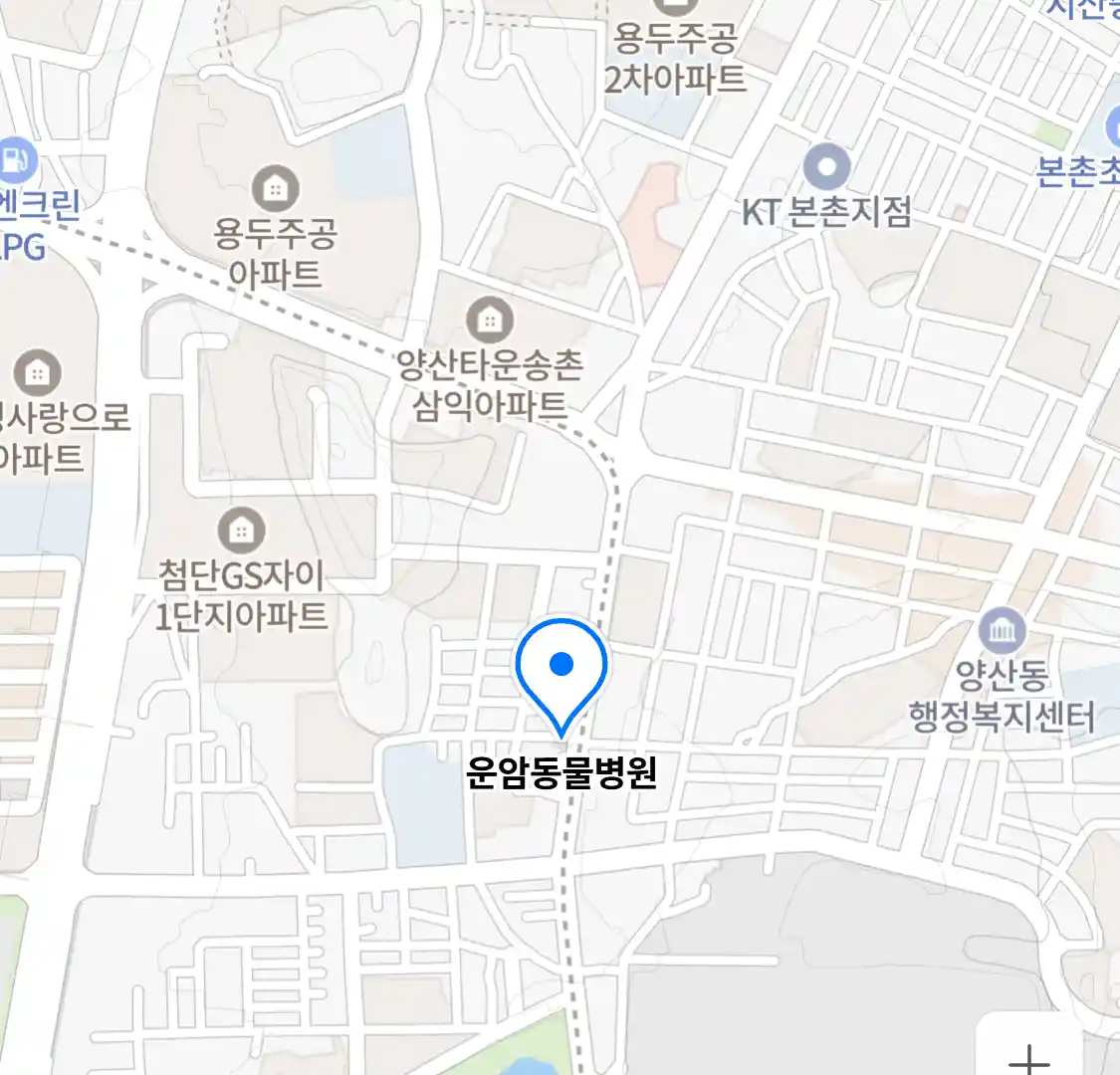운암동물병원
