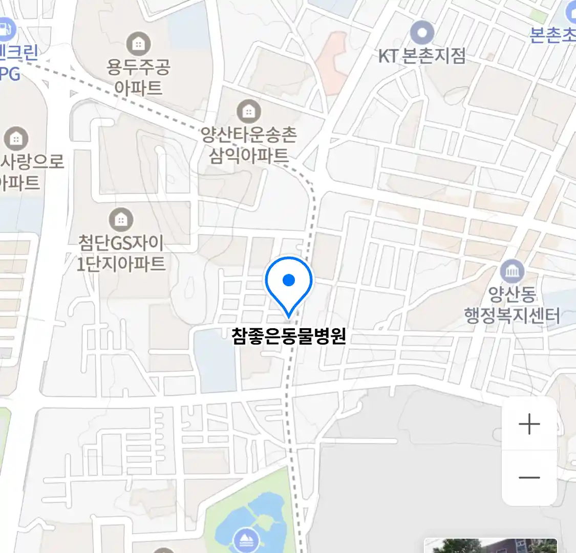 참좋은동물병원
