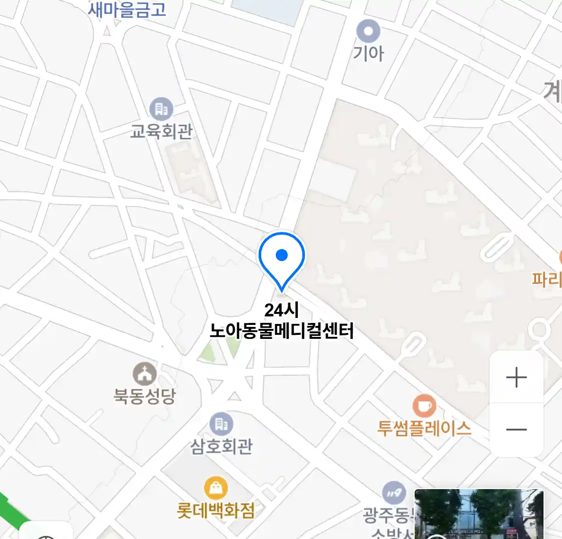 24시 노아동물메디컬센터