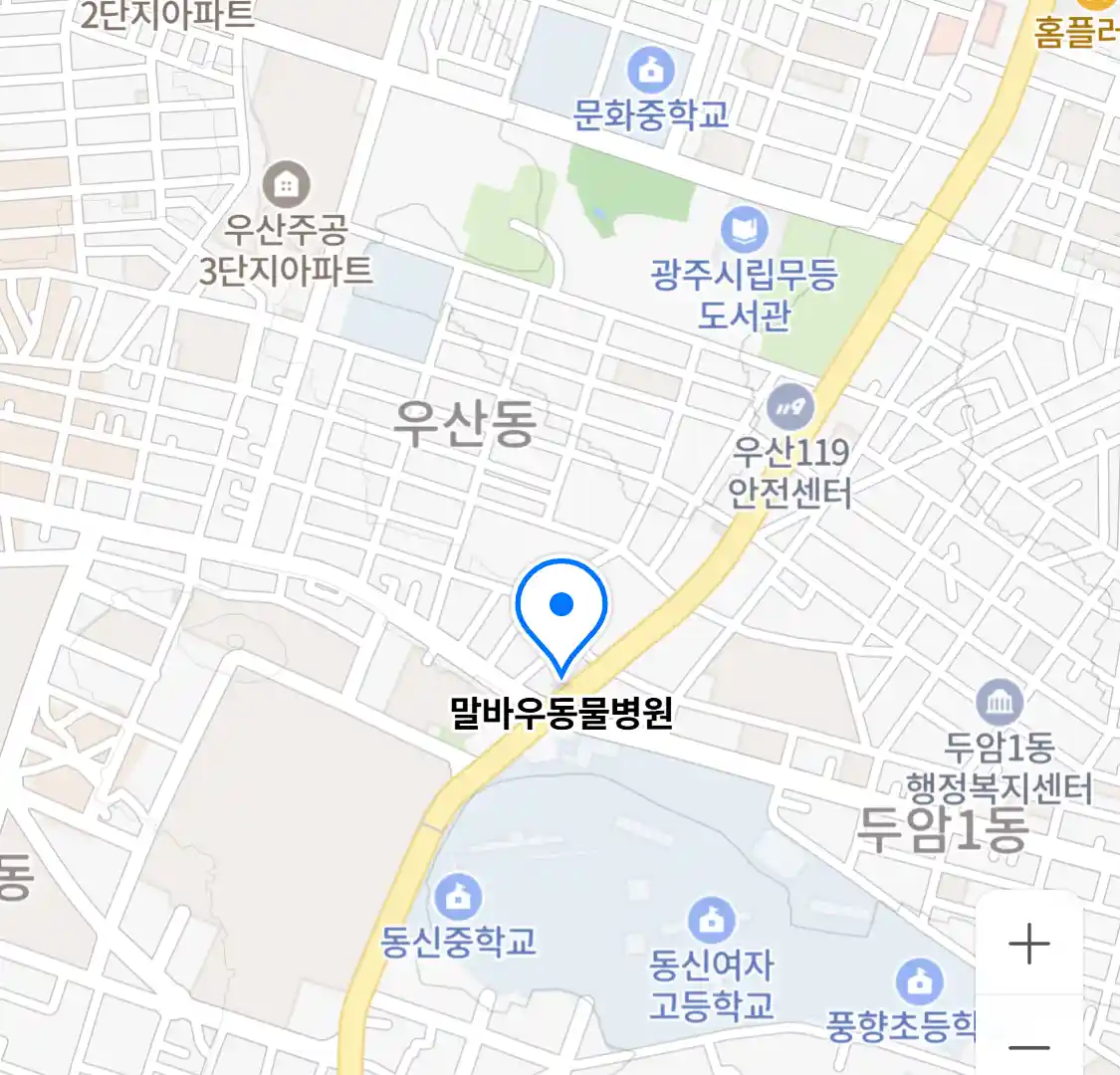 말바우동물병원