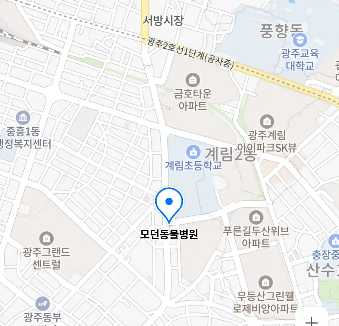 모던동물병원