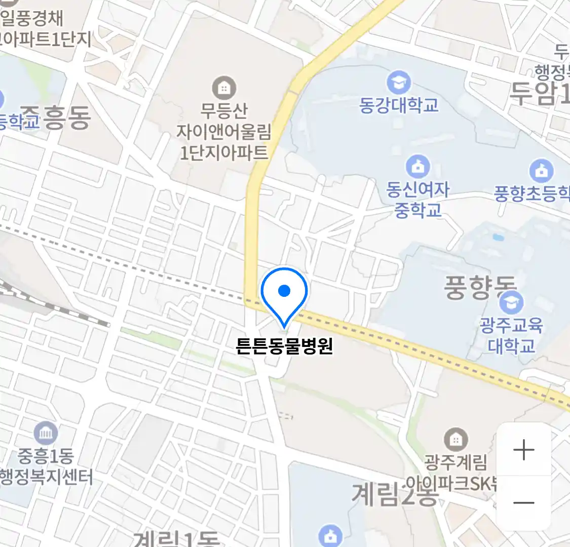 튼튼동물병원