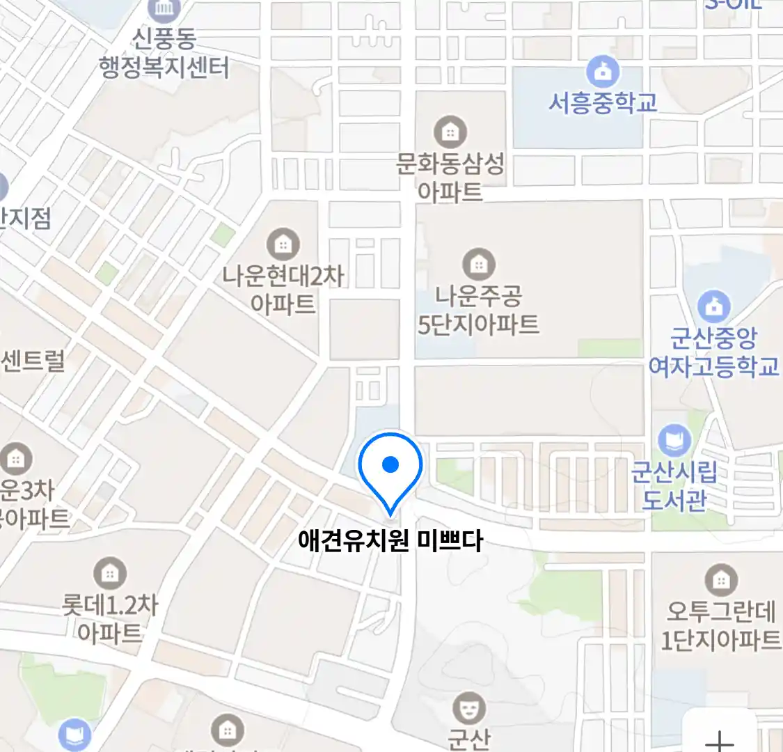 애견유치원 미쁘다