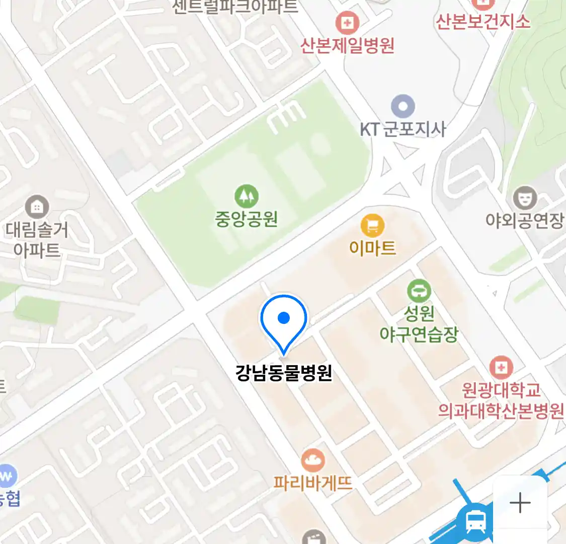 강남동물병원
