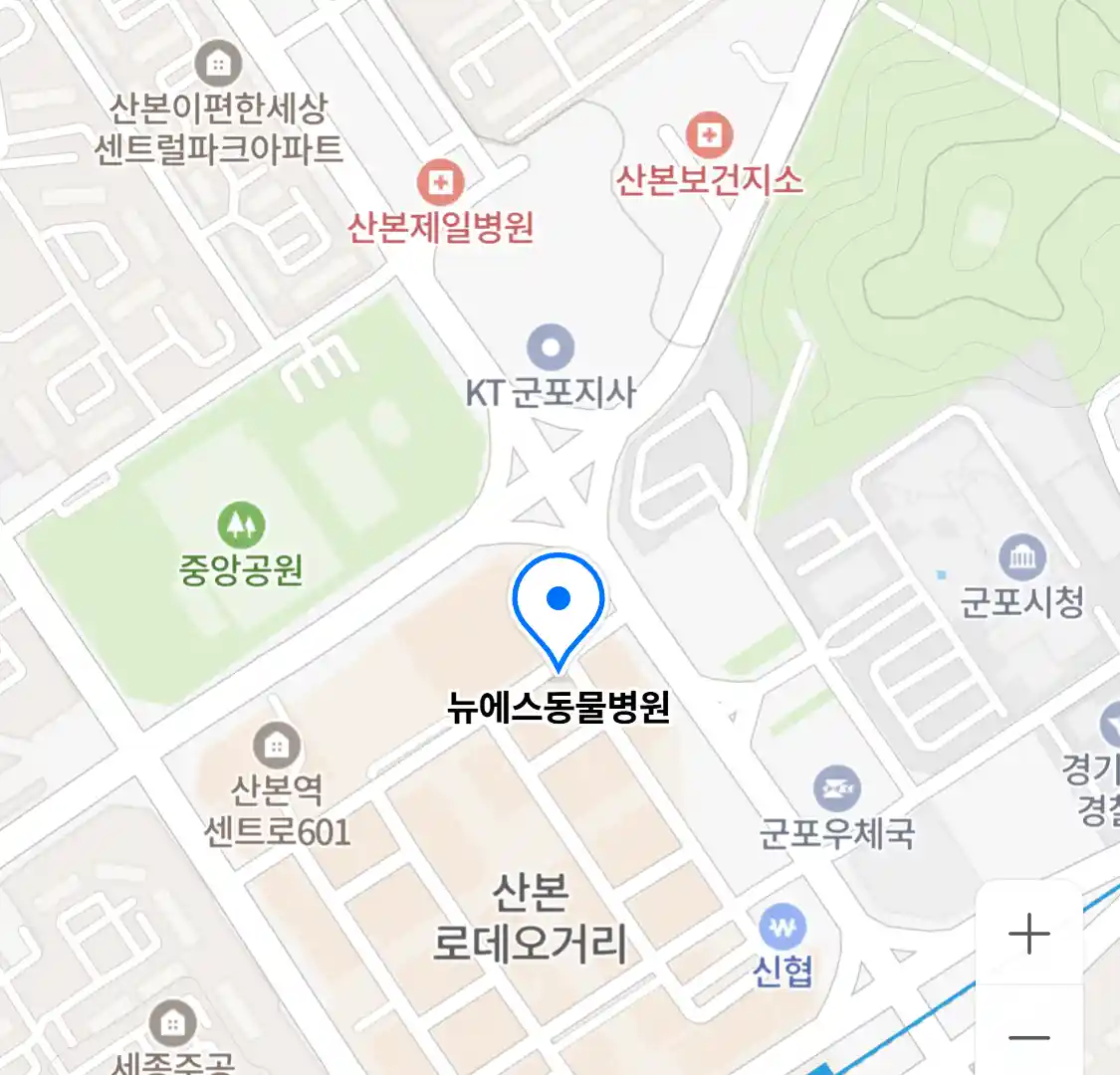 뉴에스동물병원