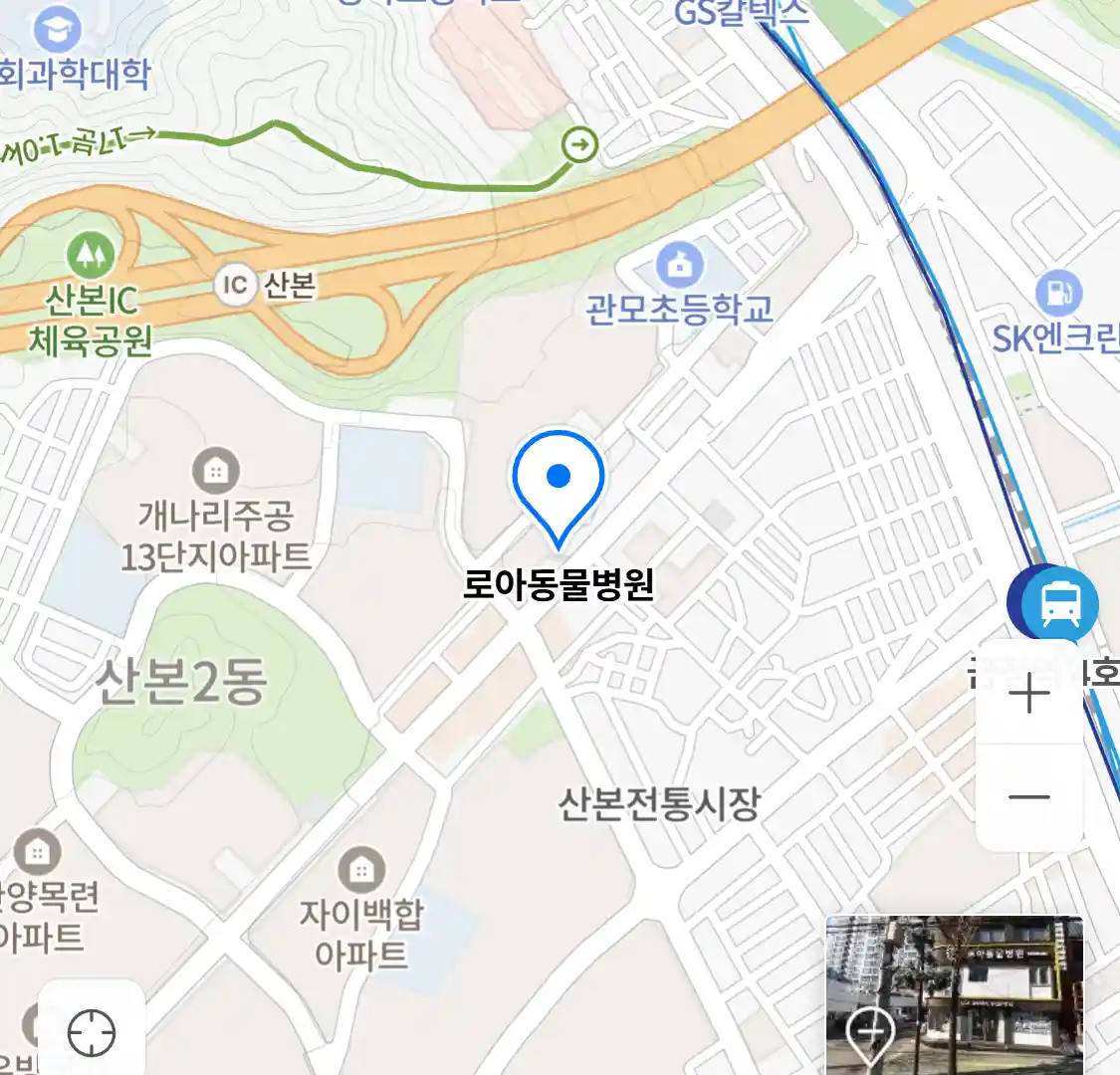 로아동물병원