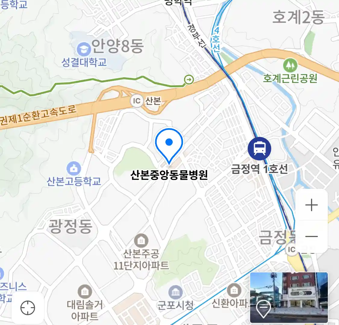 산본중앙동물병원