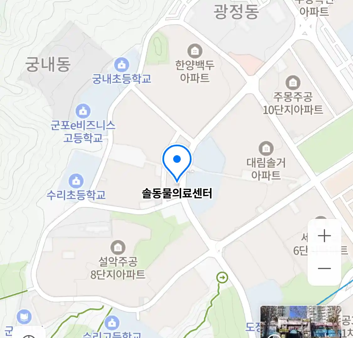 솔동물의료센터