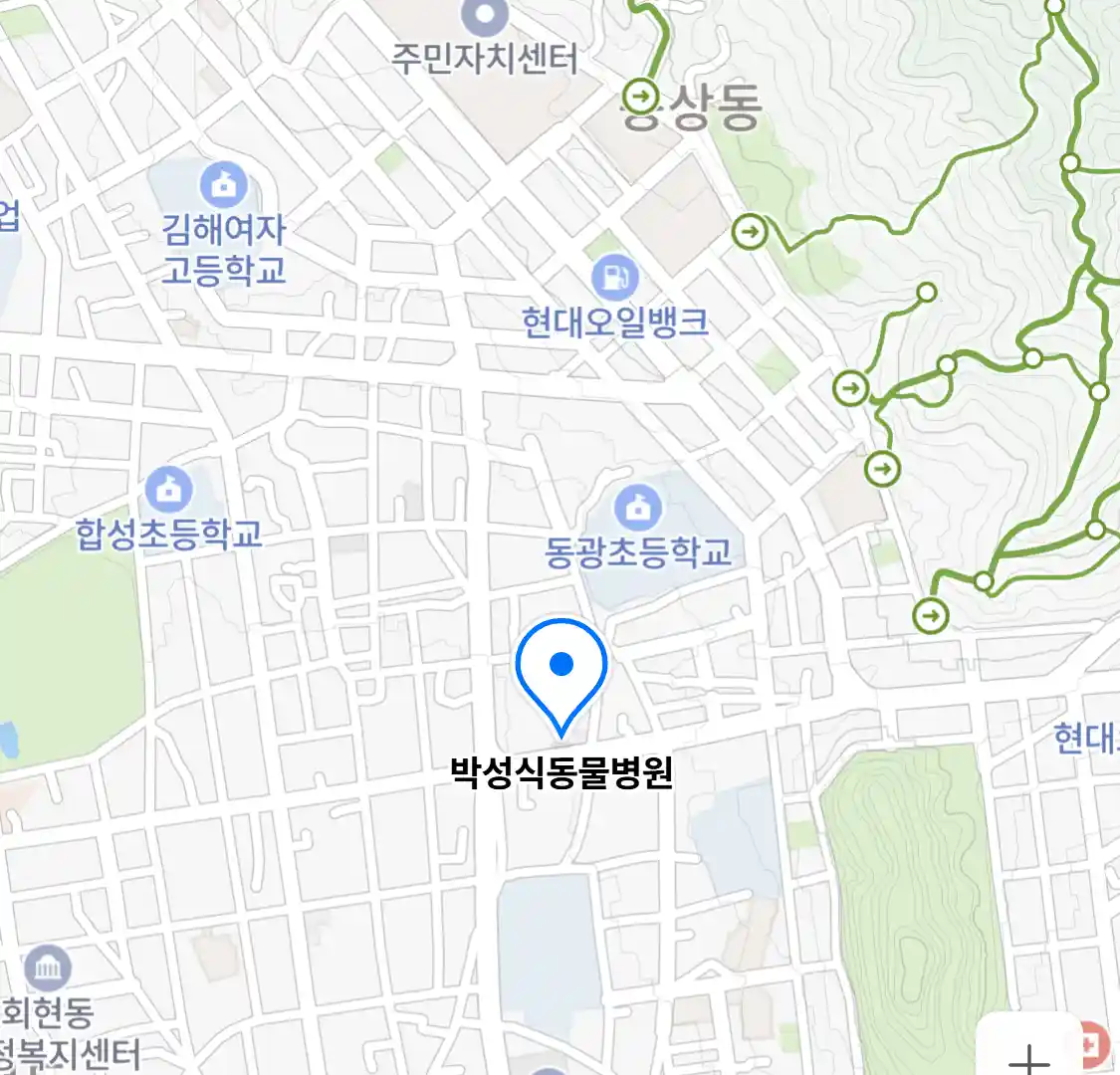박성식동물병원