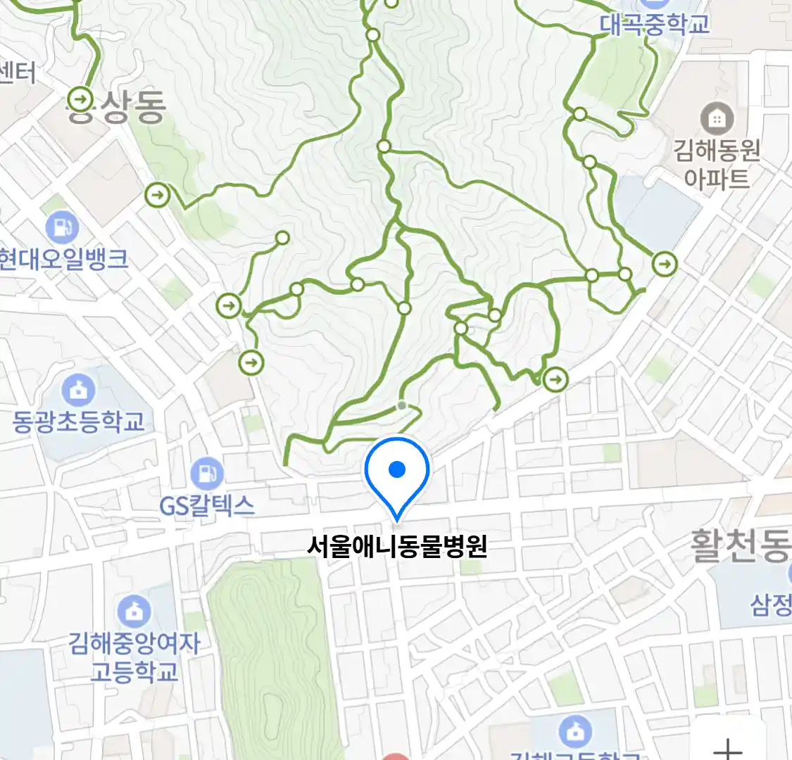 서울애니동물병원