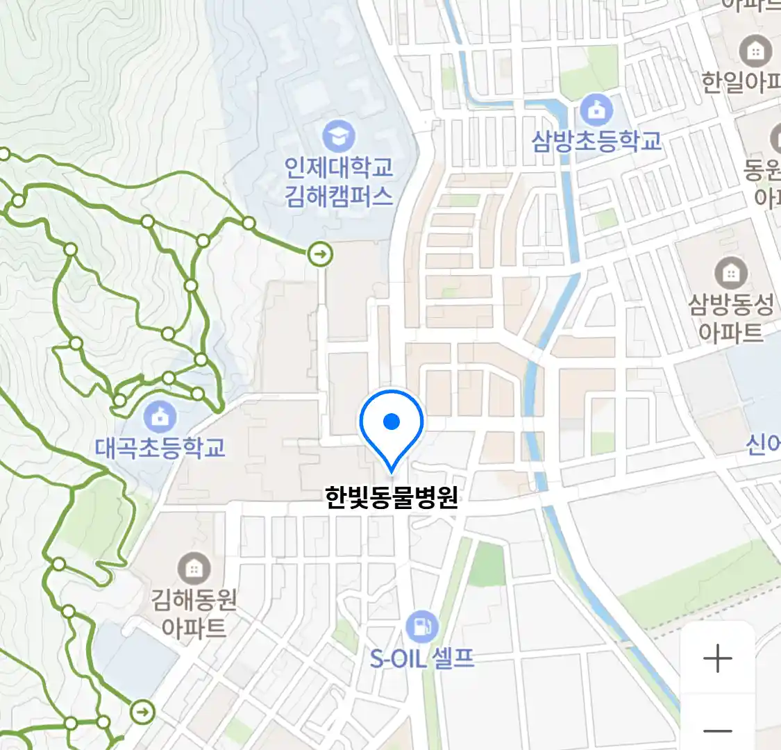 한빛동물병원