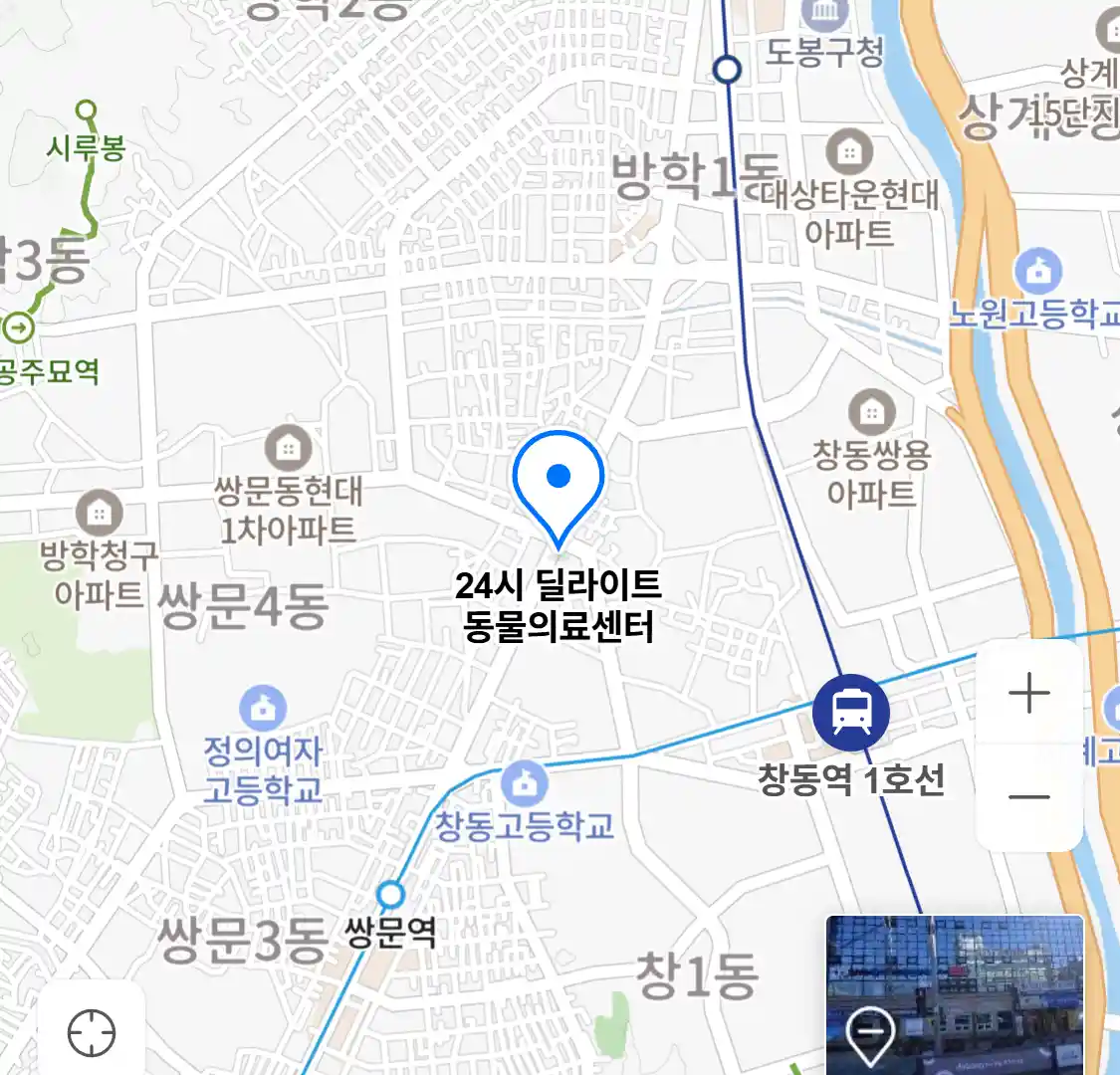 24시 딜라이트 동물의료센터