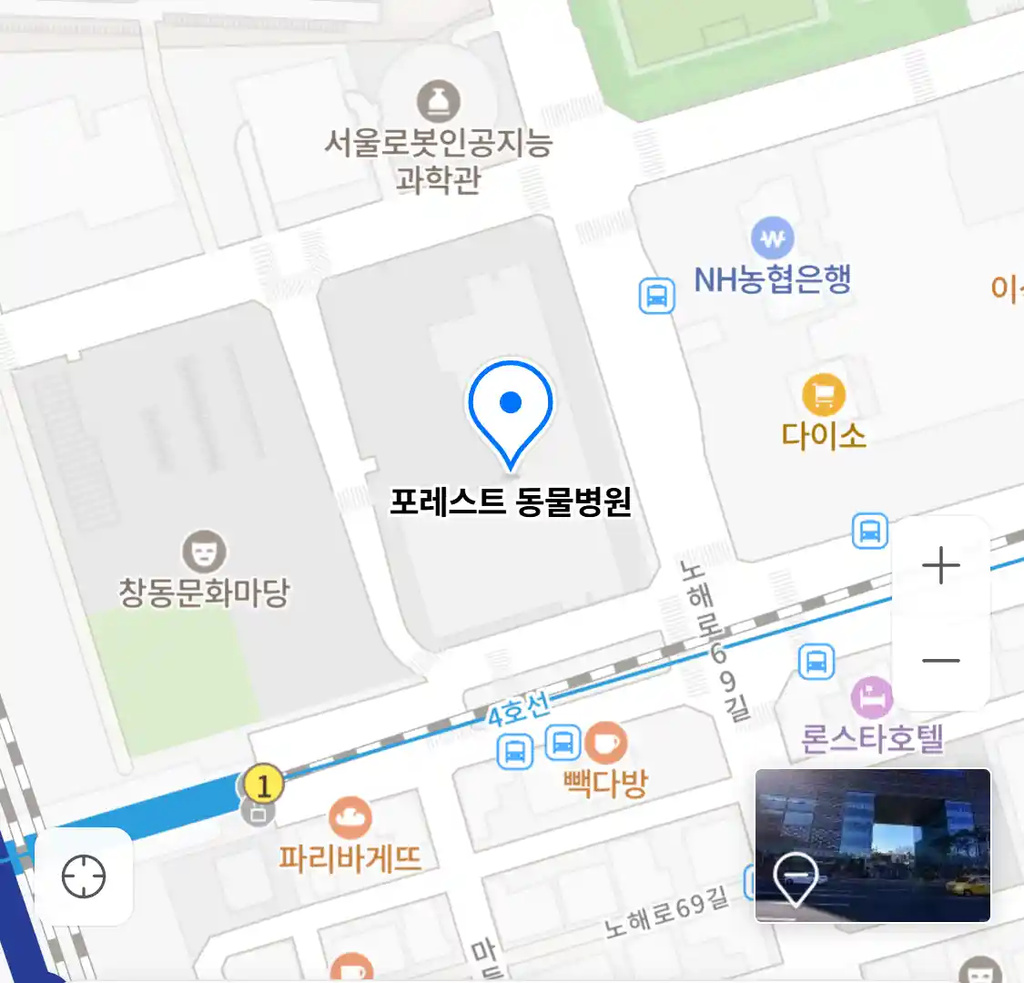 포레스트 동물병원