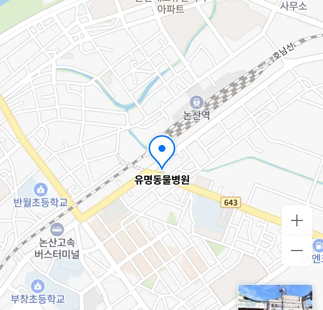 유명동물병원