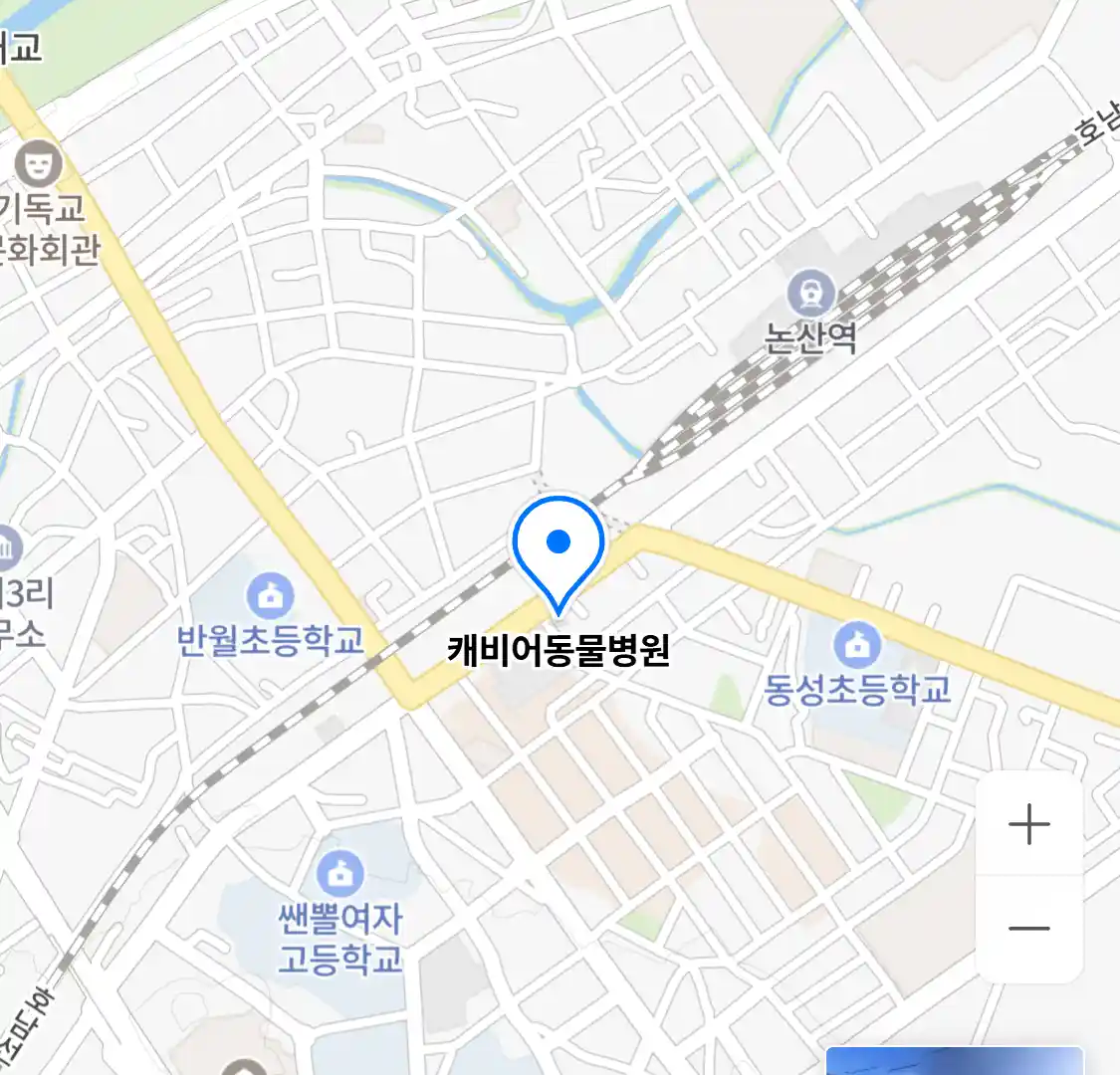 캐비어동물병원