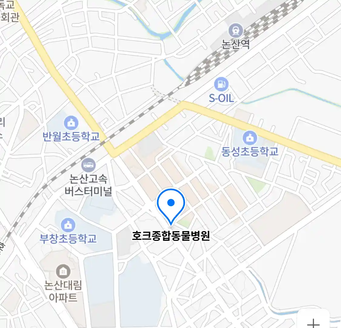 호크종합동물병원