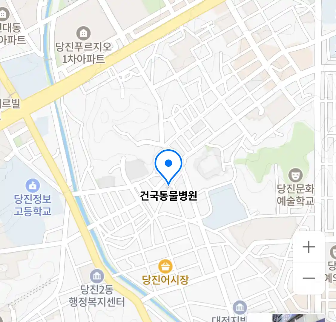 건국동물병원