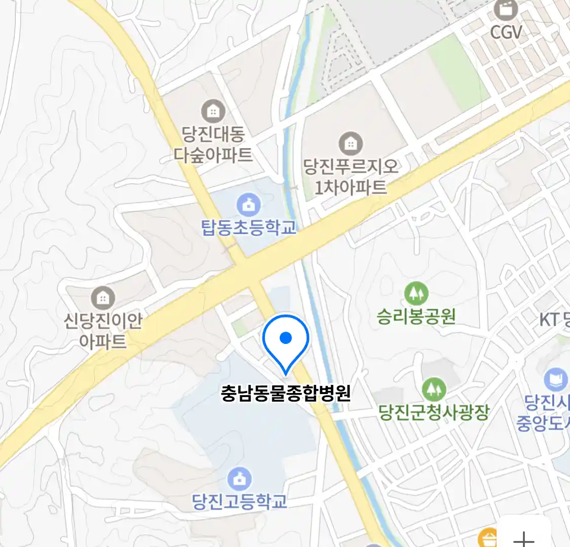 충남동물종합병원