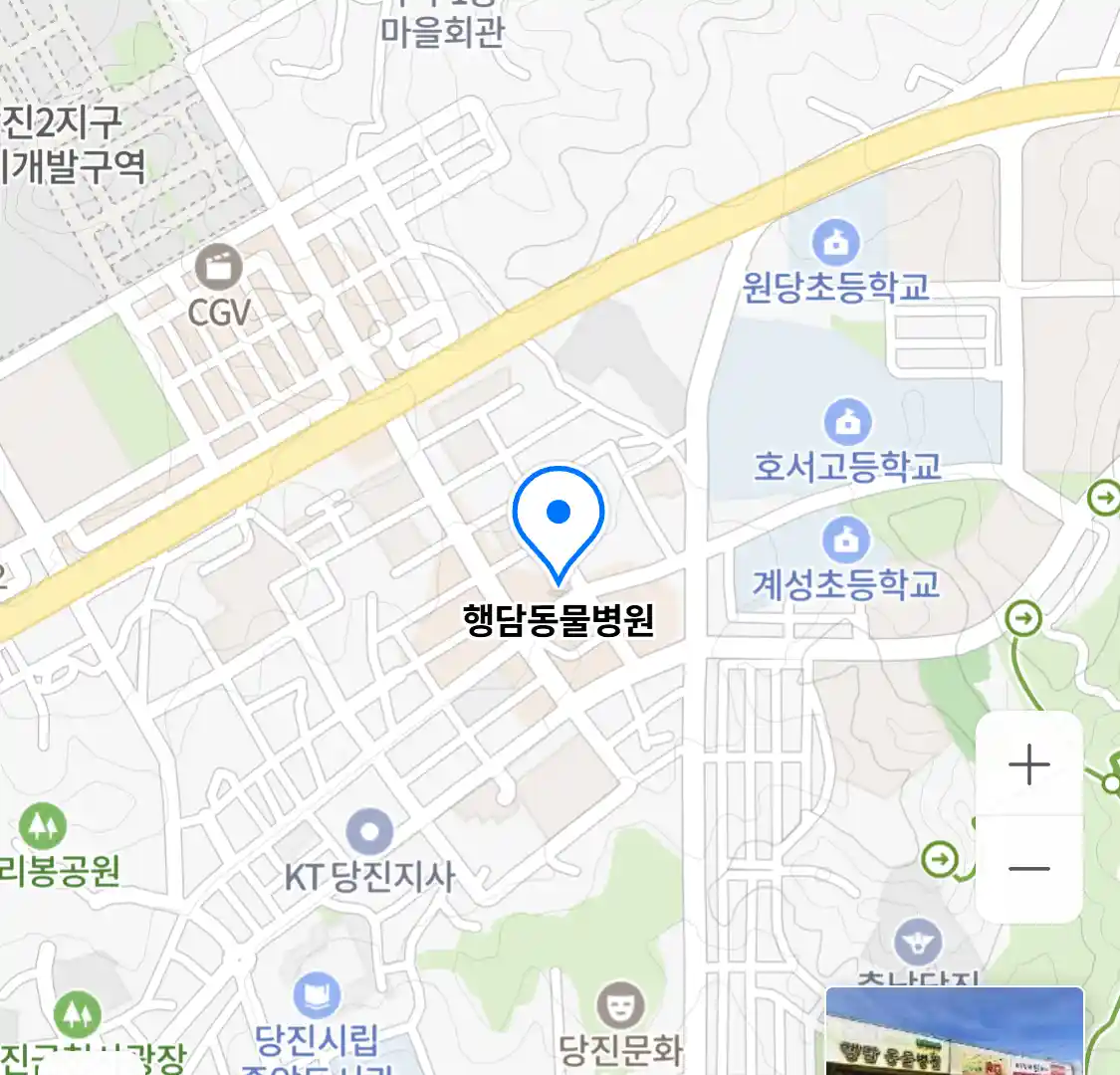 행담동물병원