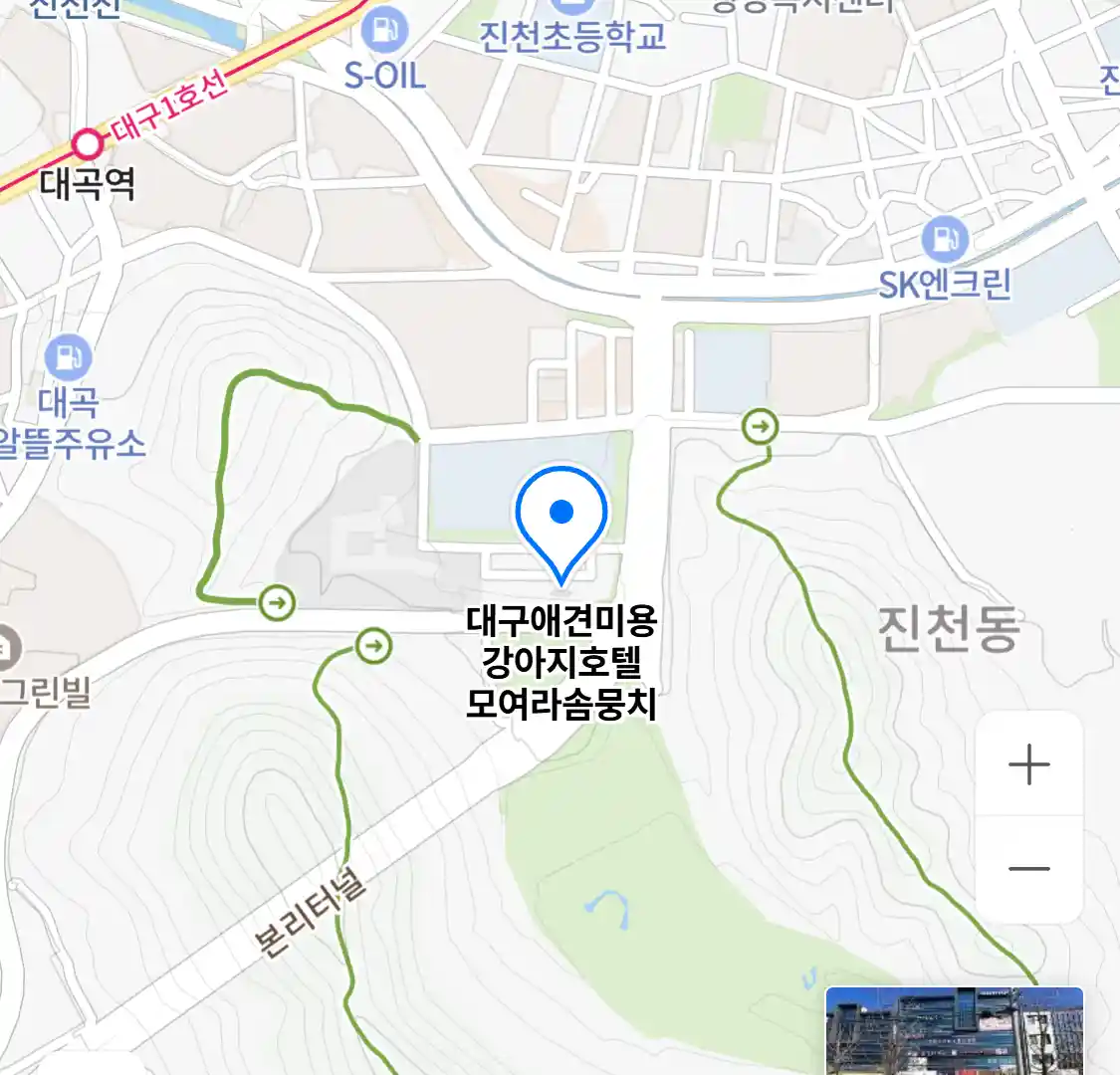 대구애견미용 강아지호텔 모여라솜뭉치