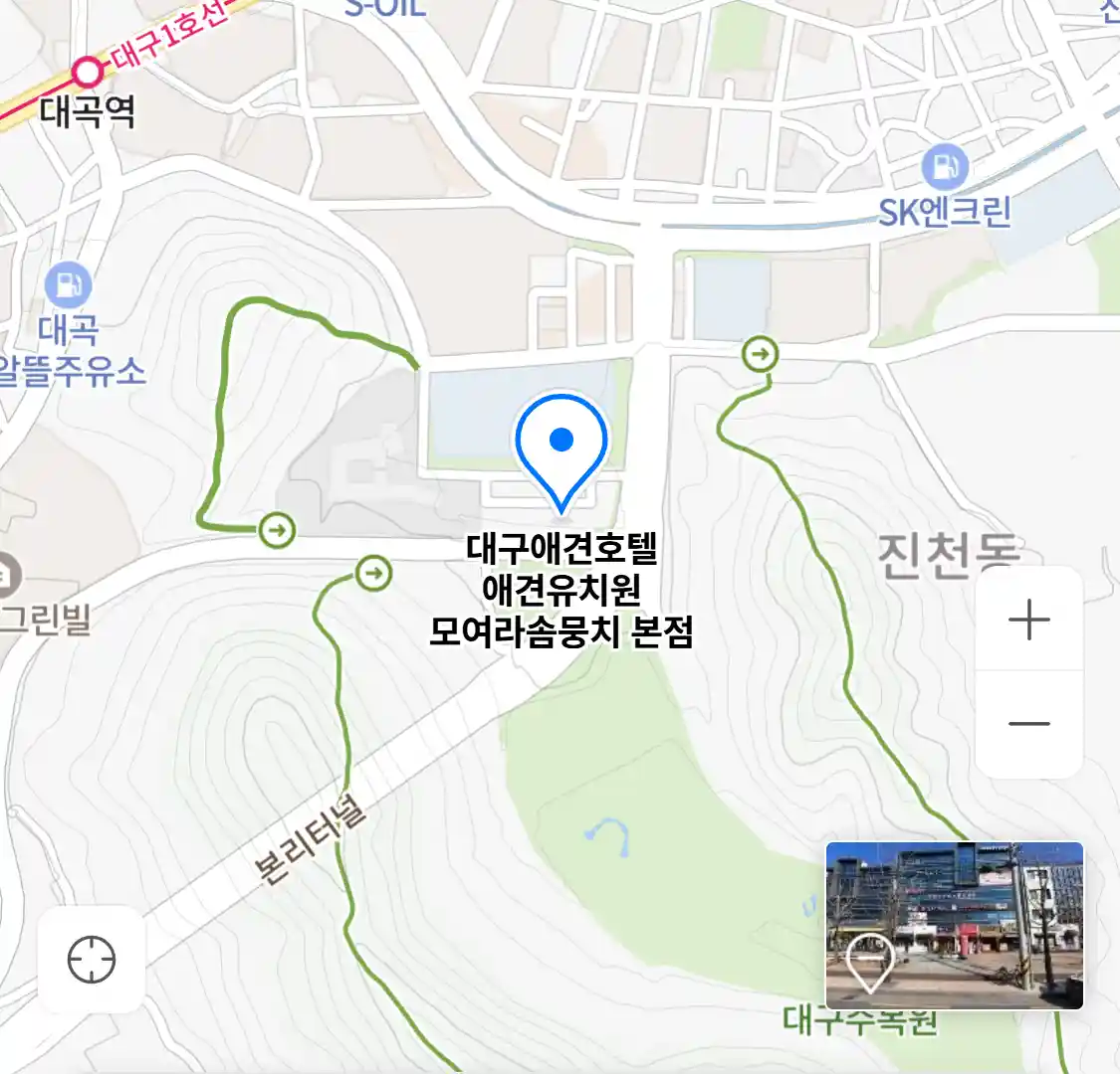 대구애견호텔 애견유치원 모여라솜뭉치 본점