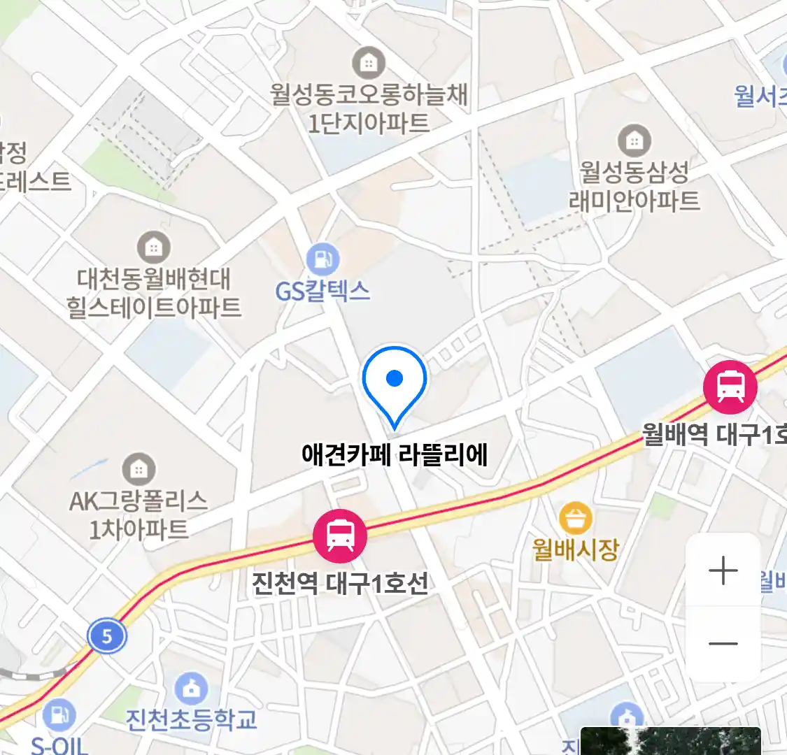 애견카페 라뜰리에